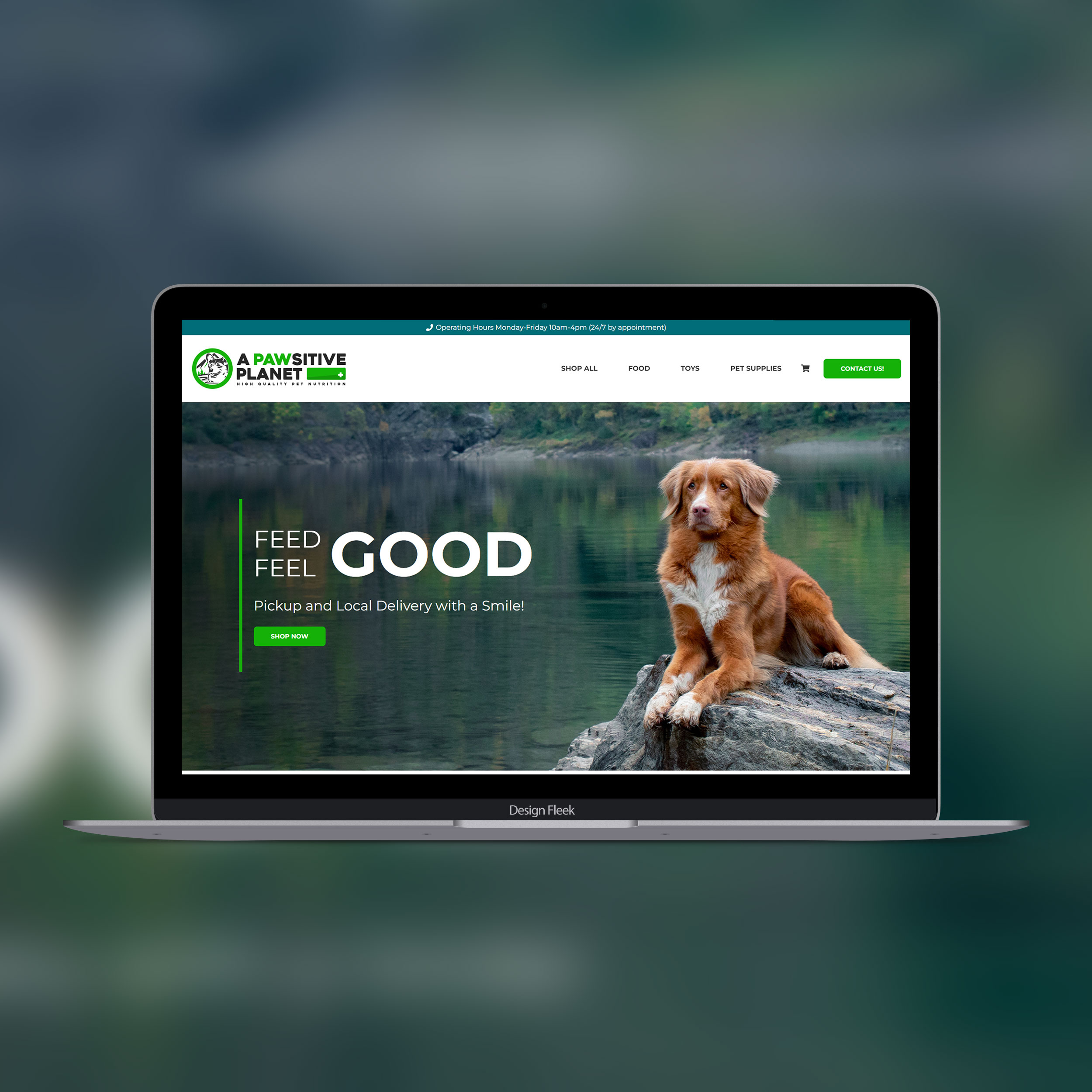 A Pawsitive Planet website project preview