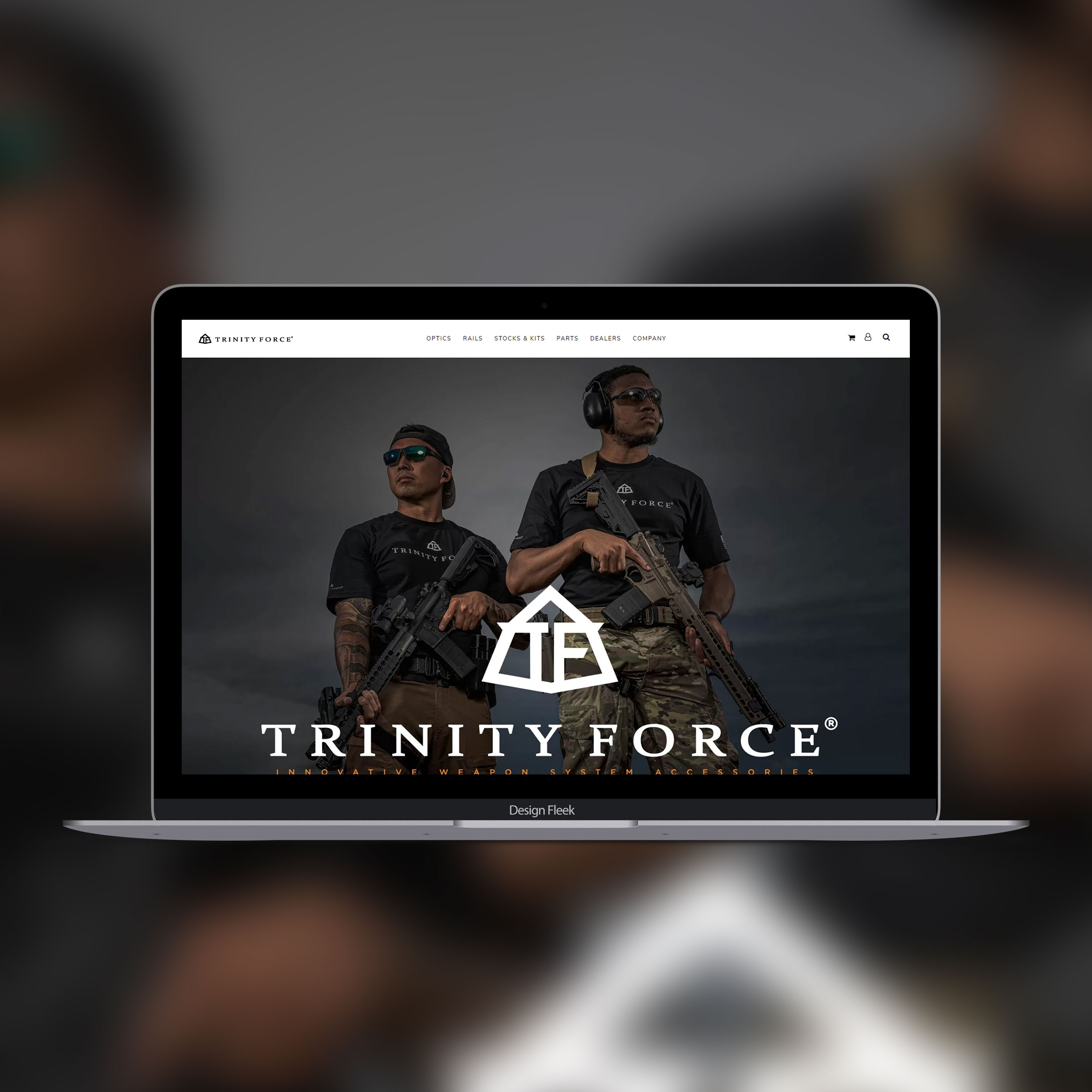 Trinity Force website project preview